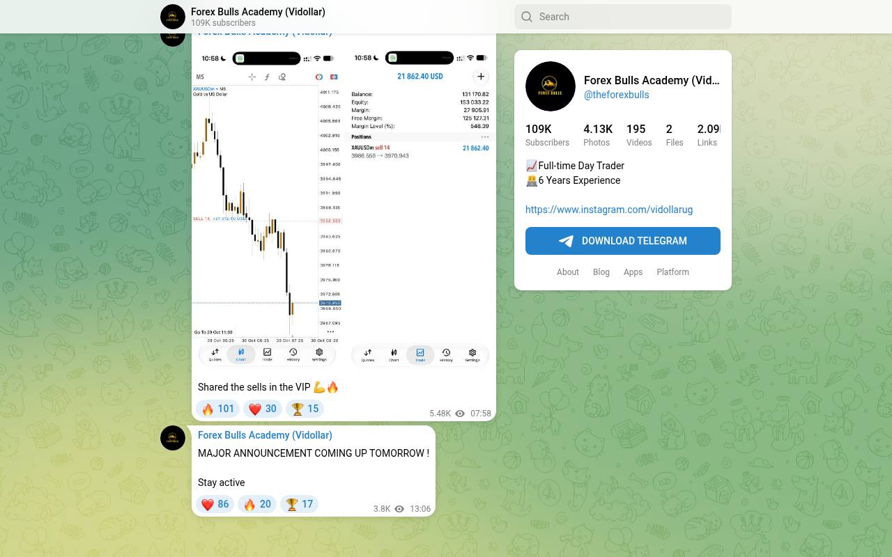 theforexbulls Telegram — fake trading signals / vip group screenshot